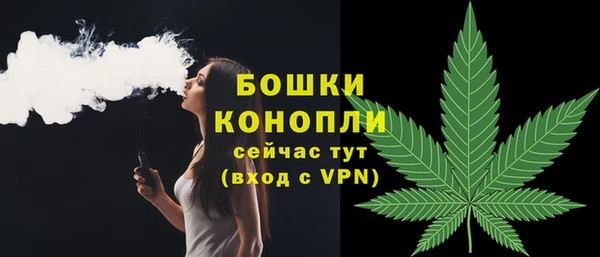 СК Медногорск