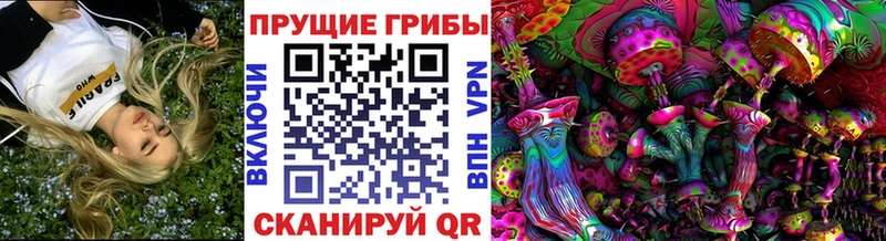 где можно купить   Карабаш  Псилоцибиновые грибы Psilocybine cubensis 